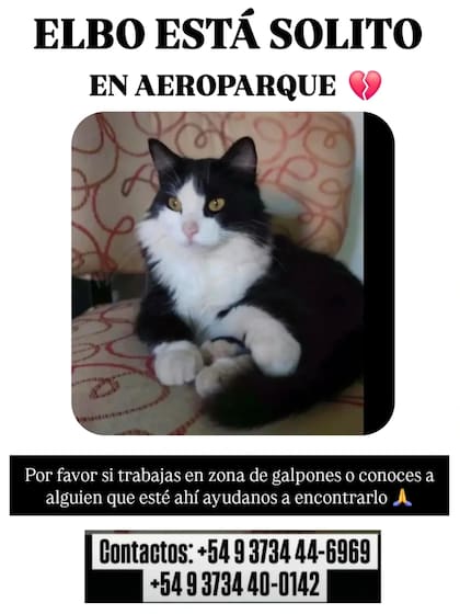Los flyers de búsqueda que publican en redes sociales para encontrar a Elbo.
