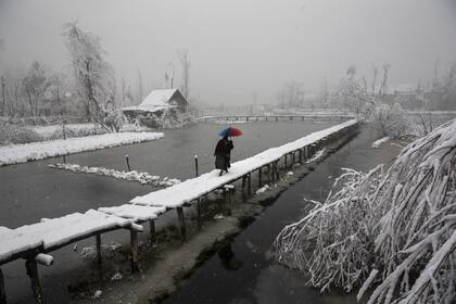 Un hombre de Cachemira camina sobre una pasarela cubierta de nieve mientras nieva en los interiores del lago Dal Srinagar