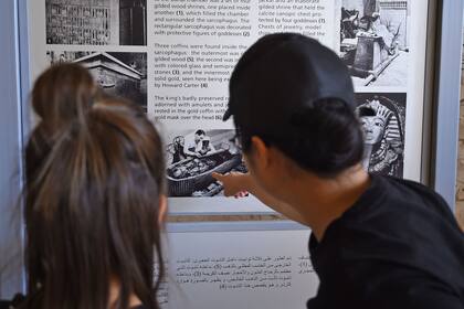 Los frescos fueron dañados principalmente por unos hongos que causaron centenares de pequeñas manchas marrones