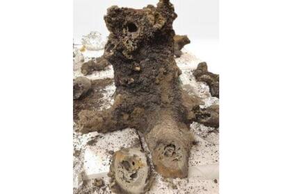 Los fulguritos se forman cuando un rayo impacta la Tierra