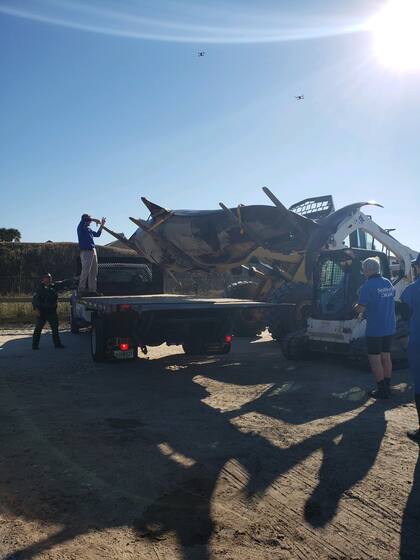 Los funcionarios de distintas dependencias tardaron unas seis horas en retirar la orca del mar