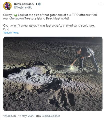 Los funcionarios de Treausre Island compartieron la historia del caimán de arena en sus redes sociales