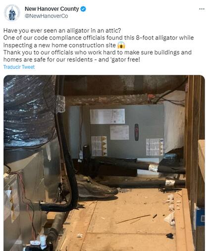Los funcionarios del condado de New Hanover compartieron la historia del caimán en el ático en sus redes sociales