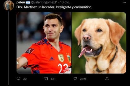 Los futbolistas de la selección argentina comparados con razas de perros