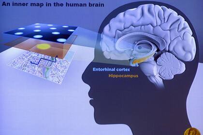 Los galardonados ayudaron a explicar cómo el cerebro crea un mapa del espacio que nos rodea