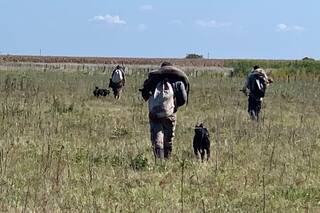 Denuncian una grave inseguridad en campos de un partido bonaerense
