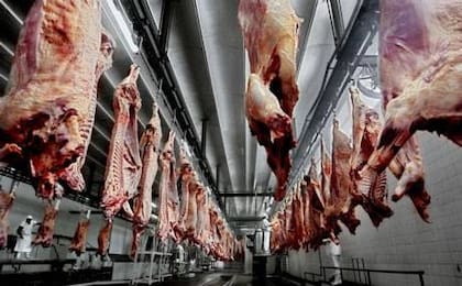 Seguirán vigentes los trámites por sanciones constatadas