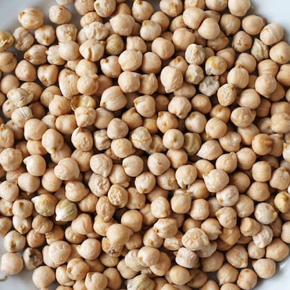 Los garbanzos son una fuente rica de proteínas vegetales y hierro
