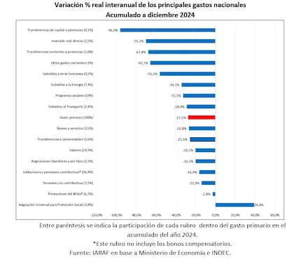 Los gastos del Estado que más cayeron en 2024, según el Instituto Argentino de Análisis Fiscal (Iaraf)
