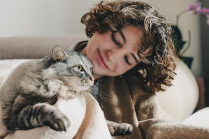 Los gatos ayudan a relajar cuando estás viviendo un momento de estrés o angustia
