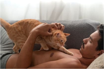 Los gatos eligen dormir sobre sus dueños para mostrarles afecto