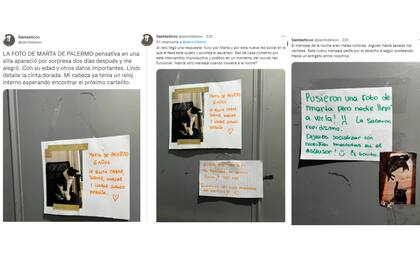 Los gatos invadieron el ascensor (Captura Twitter)