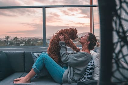 Los perros requieren de cuidados extras para que tengan una mejor calidad de vida (Foto: Archivo)