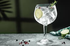 World Gin Awards 2026: cuáles son los argentinos que ganaron medallas