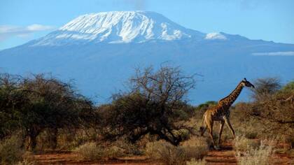 Los glaciares que cubren el Kilimanjaro en Tanzania desaparecerán para 2050