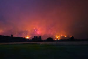 En qué provincias Milei declaró la emergencia ígnea