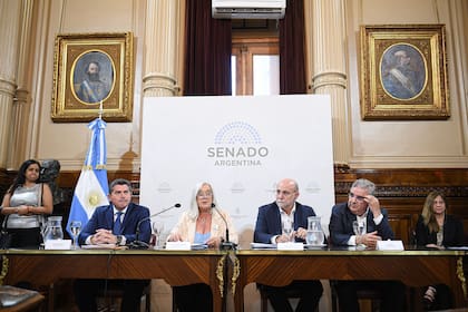 Los gobernadores Marcelo Orrego (San Juan) y Raúl Jalil (Catamarca) junto a los senadores Edith Terenzi (Chubut) y Flavio Fama (Catamarca) durante la reunión de las comisiones de Ambiente y Desarrollo Sustentable y de Minería, Energía y Combustibles