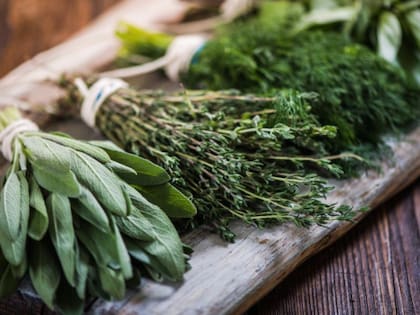 Los grandes beneficios de esta hierba para la salud (Foto: IStock)