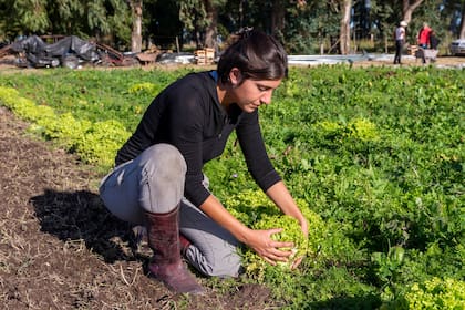 Los gremios argumentan que la Estación Experimental tiene mucha injerencia en la agricultura familia