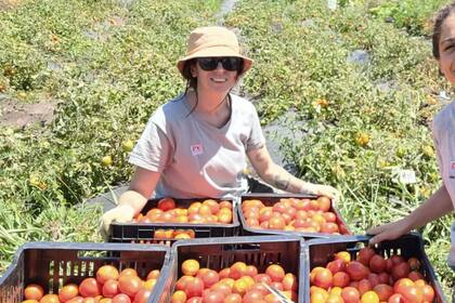 Los gremios exigieron el regreso de los programas del INTA