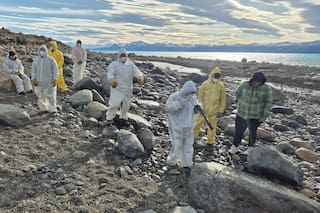 El perseverante grupo de chicos que luchan contra el vandalismo en Santa Cruz