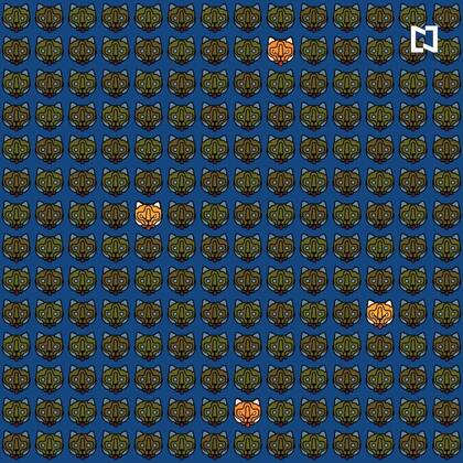 ¿Los habías encontrado?