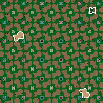 ¿Los habías encontrado? ¿Cuánto tiempo te llevó?