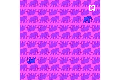 ¿Los habías encontrado? ¿En cuánto tiempo lo lograste?