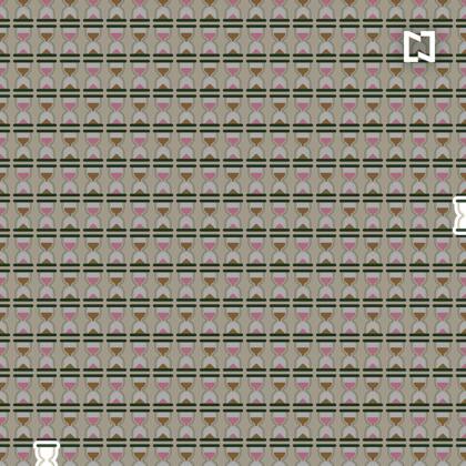 ¿Los habías encontrado? ¿En cuánto tiempo lo hiciste?