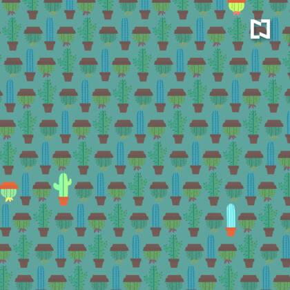 ¿Los habías encontrado? ¿En cuánto tiempo lo hiciste?