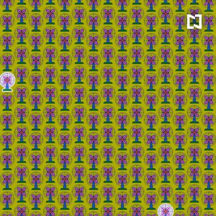 ¿Los habías encontrado? ¿En cuánto tiempo lo hiciste?