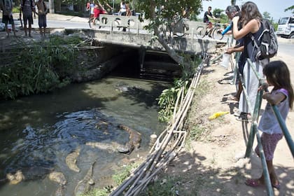 Los habitantes del barrio de Recreio dos Bandeirantes deben eludir a los animales carnívoros para obtener agua potable