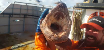 "Los he visto antes y sé que pueden morder muy fuerte, así que fuimos cautelosos”, afirmó el pescador