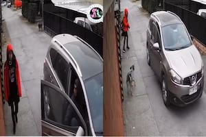 Los hechos ocurrieron en Anglo, región de La Araucanía (Foto:Captura de video)