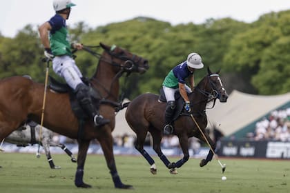 Los hermanos Castagnola clonan caballos, pero Camilo no ve tan buenos resultados en las copias como habría esperado, tanto las propias como las ajenas.