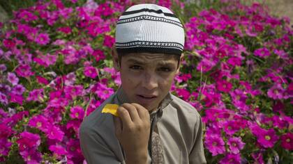 Los hermanos desconciertan a los médicos