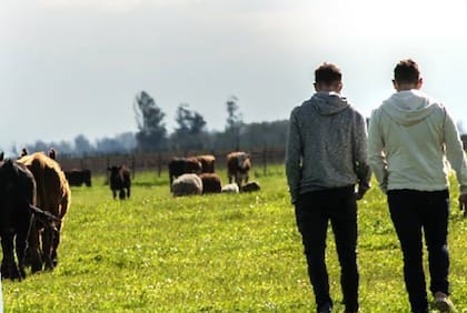 Los hermanos son tercera generación de productores agropecuarios y, según cuentan, trabajan con un cuidado exhaustivo en la trazabilidad de cada animal desde el día que nace hasta que sale del campo