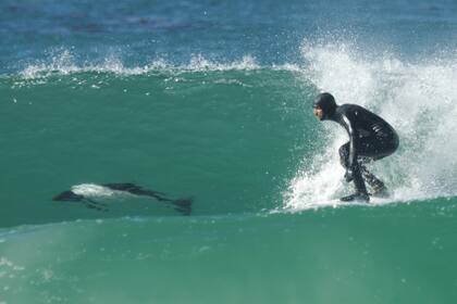 Los hermanos surfearon con toninas overas