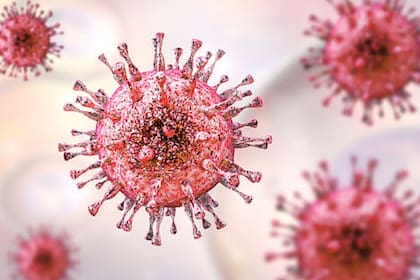 La investigación de este herpesvirus humano podría ser la clave para futuras investigaciones