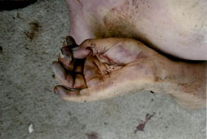 Los hijos de Juan Carlos Rojas y el abogado de la familia, en una conferencia de prensa mostraron algunas imágenes