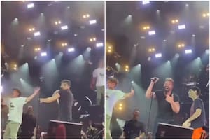 Los mellizos de Ricky Martin se subieron al escenario en pleno show y la cara del cantante fue única