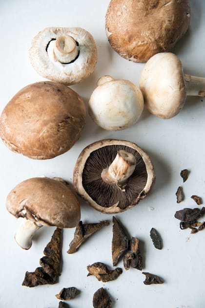 Los hongos contribuyen al buen funcionamiento de la glándula tiroides, que interviene en la regulación del estado de ánimo, la energía y la ansiedad