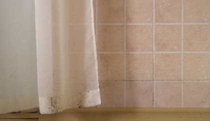 Los hongos de la cortina del baño se hacen presentes con rapidez, utilizá vinagre blanco para removerlos de forma fácil y económica