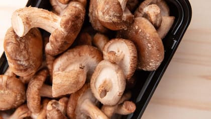 Los hongos shitake (Lentinula edodes) contienen vitamina b12, pero no en niveles suficientes para abarcar las necesidades.