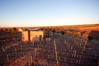 Los hospedajes en medio de las viñas, y cerca de la Cordillera de los Andes, son una de las opciones ideales de quienes buscan servicios de excelencia.