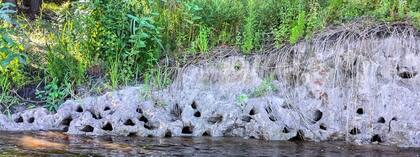 Los hoyos aparecieron a la vera de los ríos