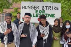 Estudiantes de la Universidad de Princeton inician una huelga de hambre contra la guerra de Gaza