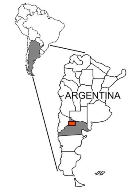 Los huesos analizados por los científicos del Conicet que descubrieron al Patagopelta cristata fueron hallados en Salitral Moreno, localidad ubicada al sur de la ciudad de General Roca, en el norte de Río Negro