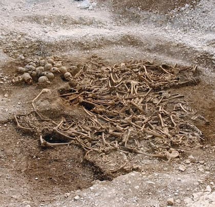 Los huesos de cerca de 50 vikingos en una tumba de Dorset, Inglaterra, que fueron analizados en la investigación (Dorset County Council)