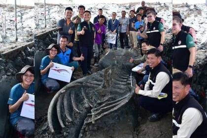 Los huesos todavía deberán ser sometidos a datación por carbono